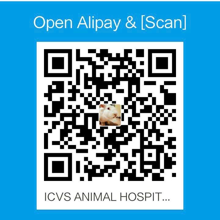 icvs alipay qr code