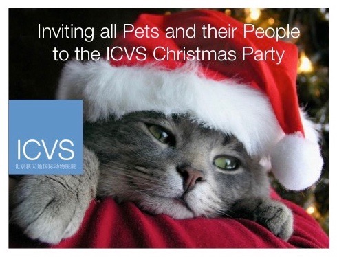 icvs christmas cat 1 logo cropped