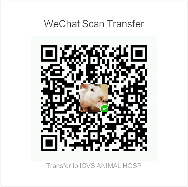 icvs wechat payment qr code