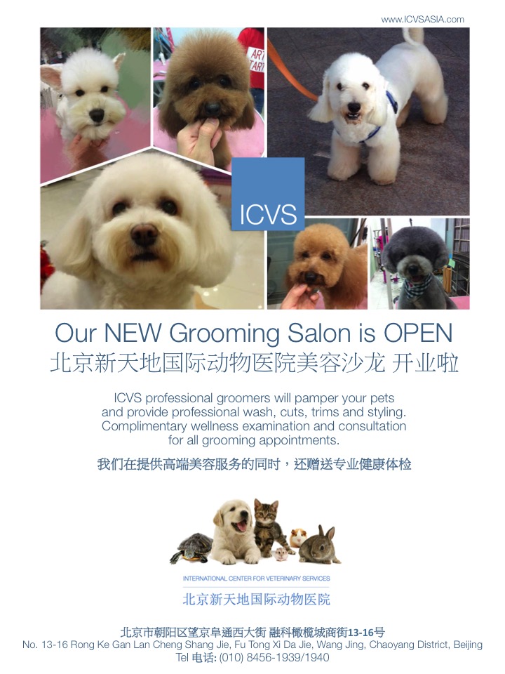 icvs grooming flyer smo