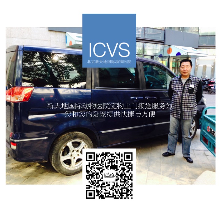 icvspettransport chi